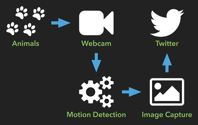 Basic flow of motion detection web app